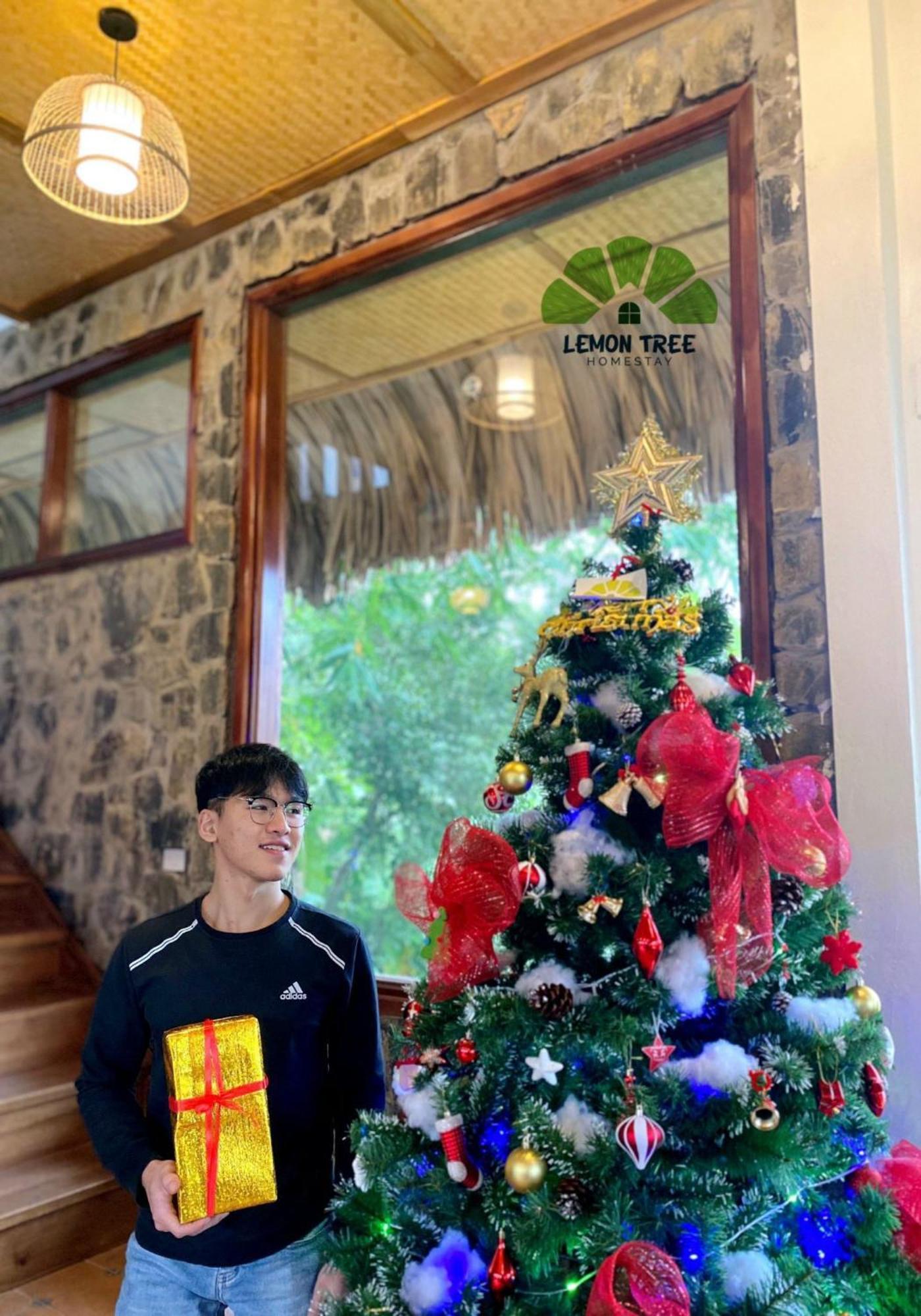 Lemon Tree Homestay Tam Coc นิญบิ่ญ ภายนอก รูปภาพ
