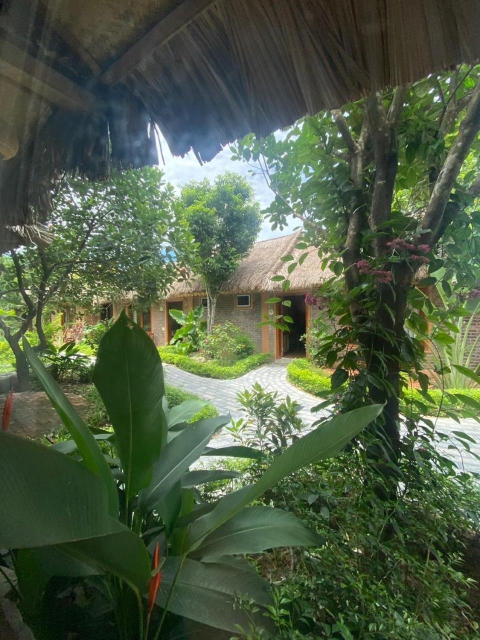 Lemon Tree Homestay Tam Coc นิญบิ่ญ ภายนอก รูปภาพ