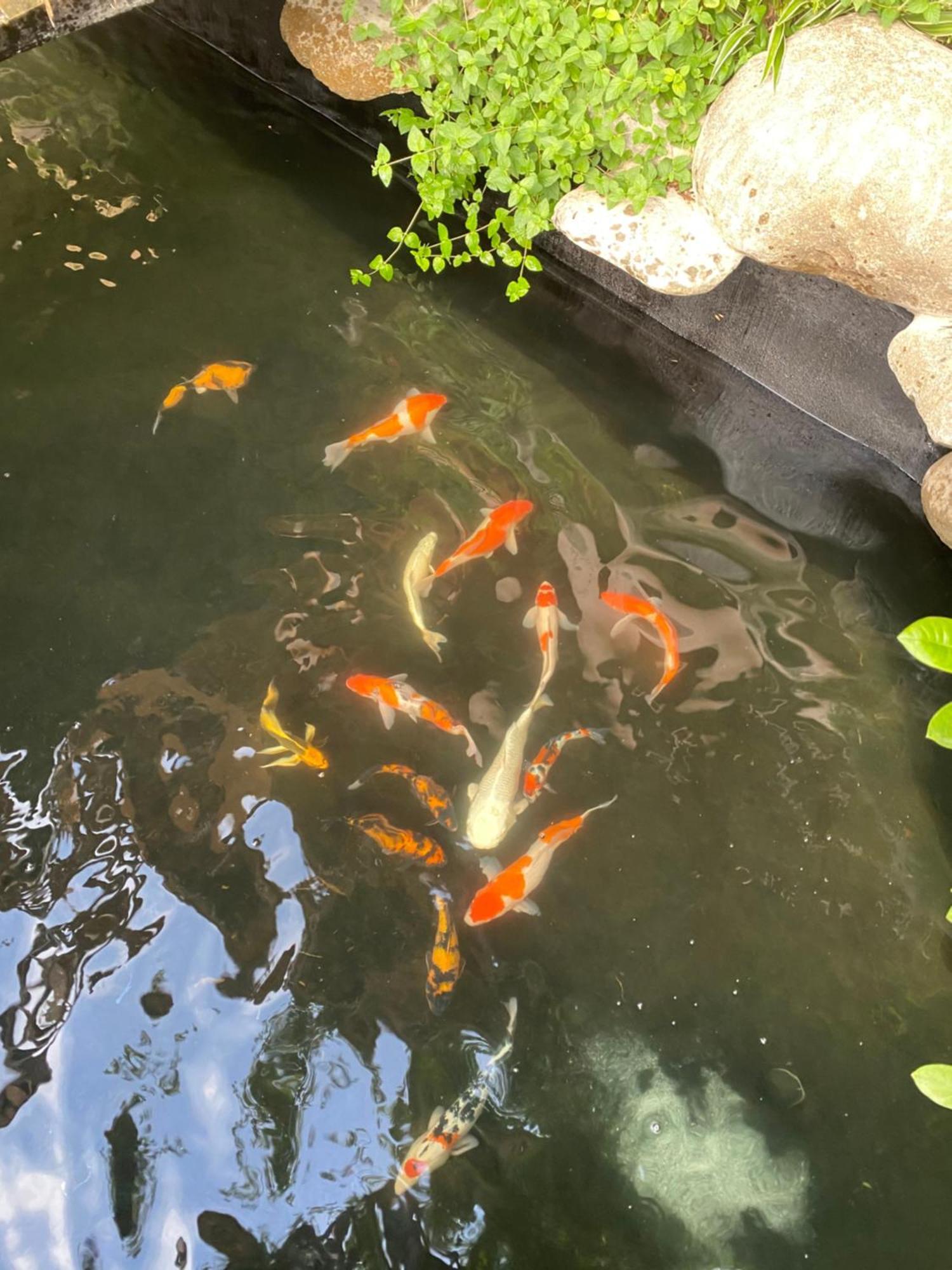 Lemon Tree Homestay Tam Coc นิญบิ่ญ ภายนอก รูปภาพ
